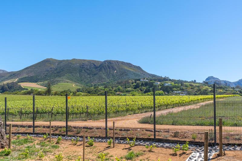 To Let 2 Bedroom Property for Rent in Constantia Western Cape